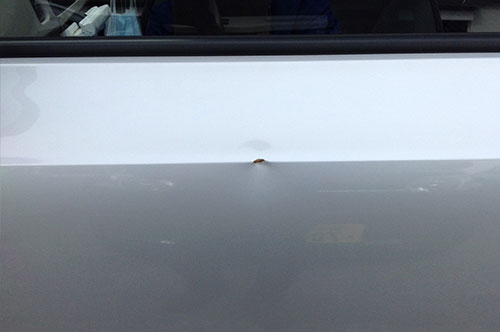 自動車板金塗装補修の作業事例(ビフォーアフター)